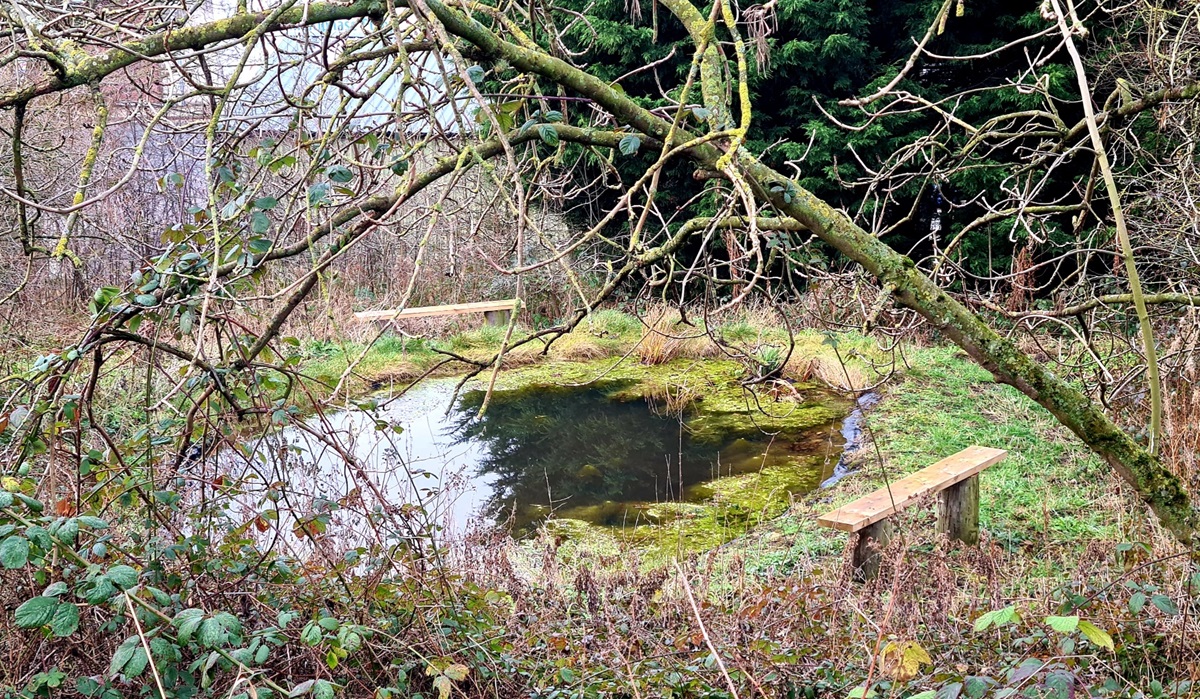 Wildlife garden in Manor Mill Meadow