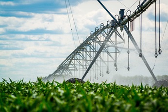 Watering system