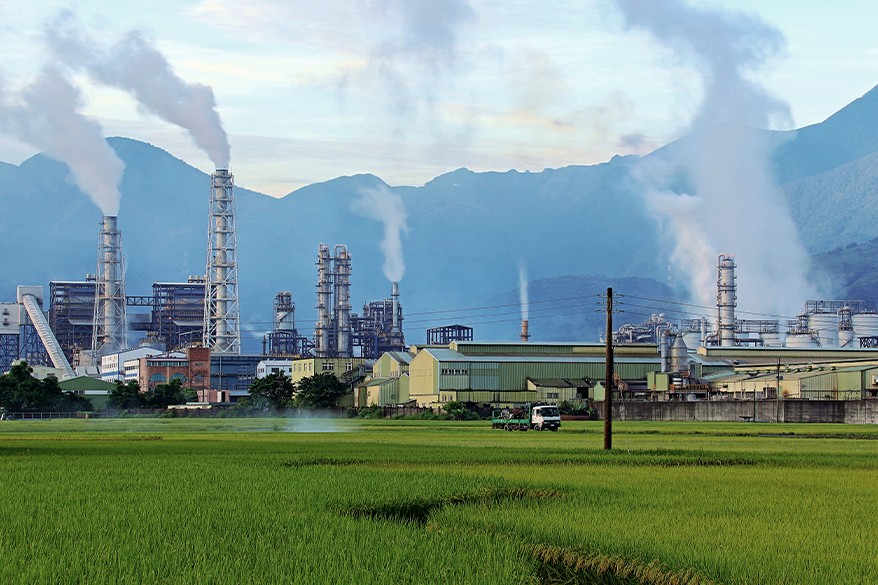Net zero