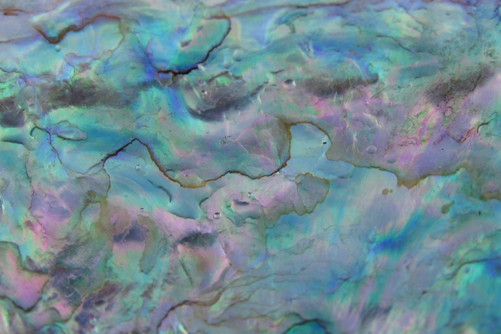 Surface of a pearl