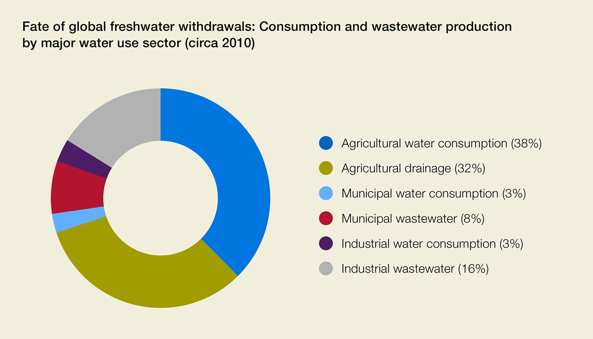 UN Water report graphic on water use