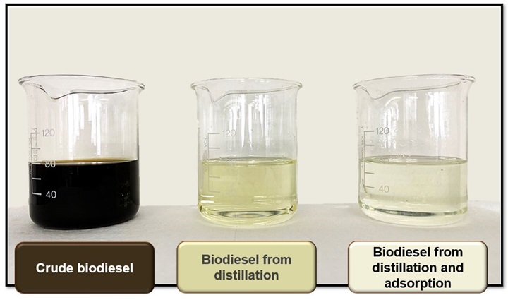 biodiesel distillation and sulfur removal