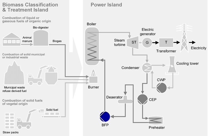 Boiler Feed Pumps for biomass firing power plants applications 