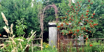 Garden and park area created by a green initiative.