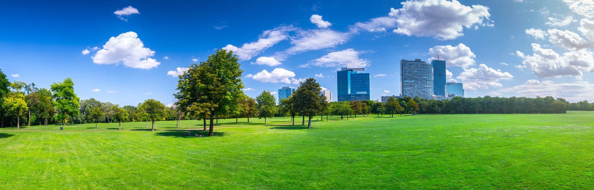 Green view of Vienna
