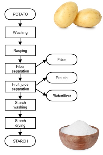 Simplified potato starch flow chart