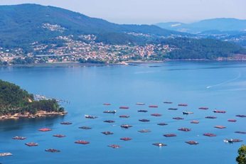 Aquafuture Fishfarming in Vigo Spain