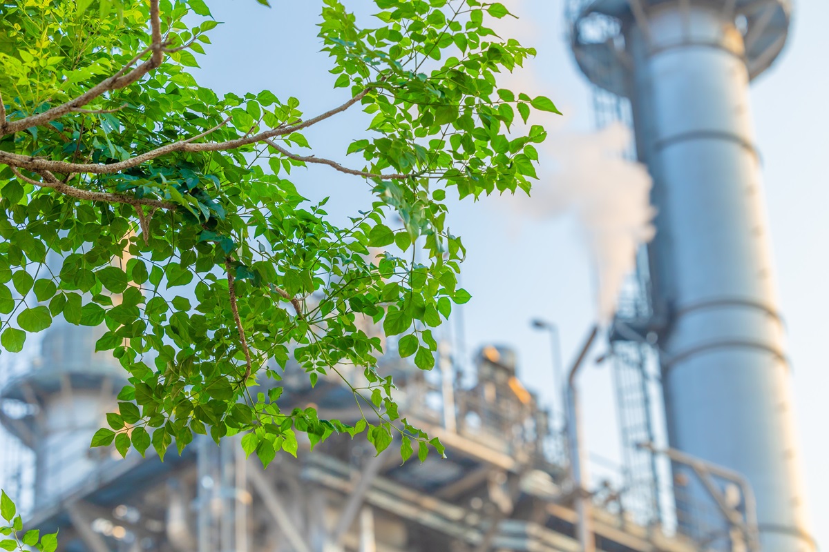 Process plant and green trees