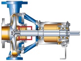 Cross-section of the NB end suction single stage centrifugal pump