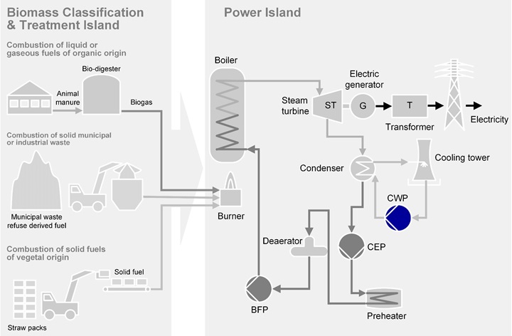 Coil Water Pumps for biomass firing applications 