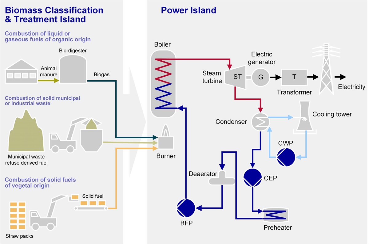 Biomass Power Plant Process