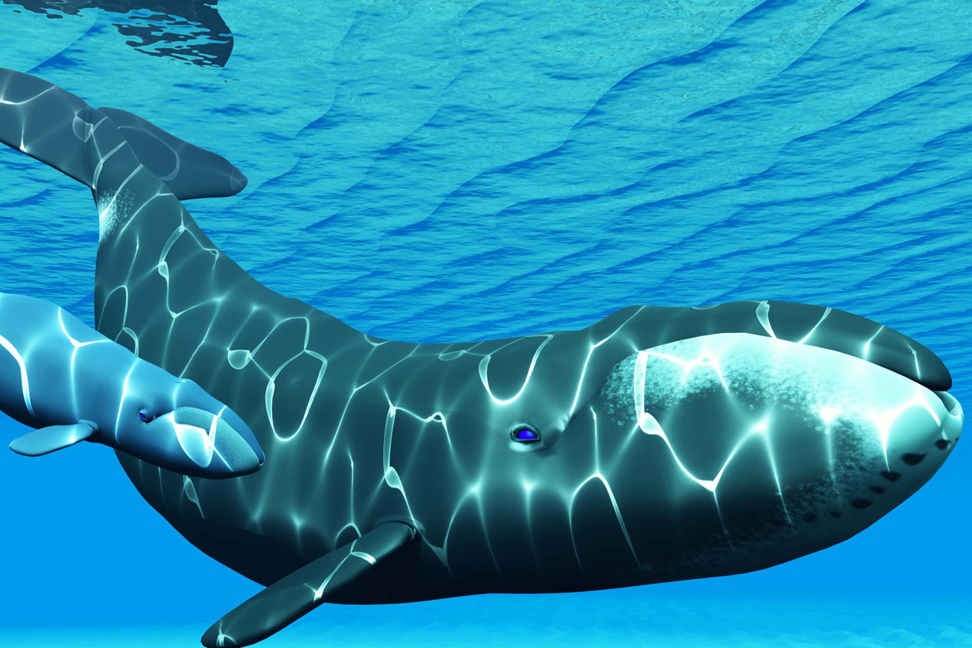 Eine Milliarde Herzschlage Sulzer