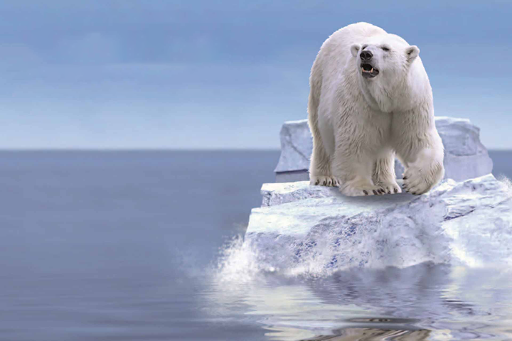 Ice bear on a small ice floe as symbol for CO2 capture