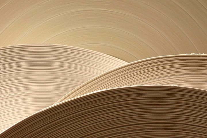 Close up of multiple cardboard rolls