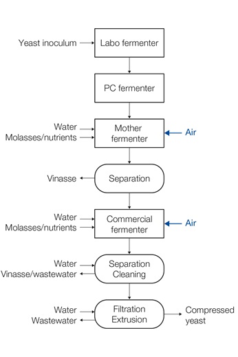 Yeast fermentation process